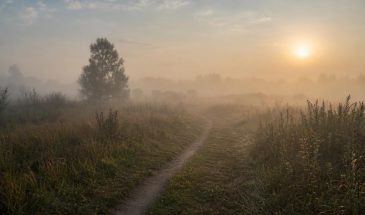 Муж изменяет — как понять? Признаки, о которых не говорят
