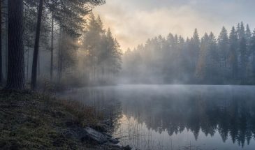 Муж обесценивает мои чувства — как с этим справиться