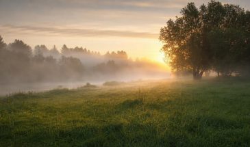 Муж стал холодным и равнодушным: причины и что делать